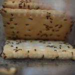 5 Easy Ways to Get Rid of Kitchen Insects