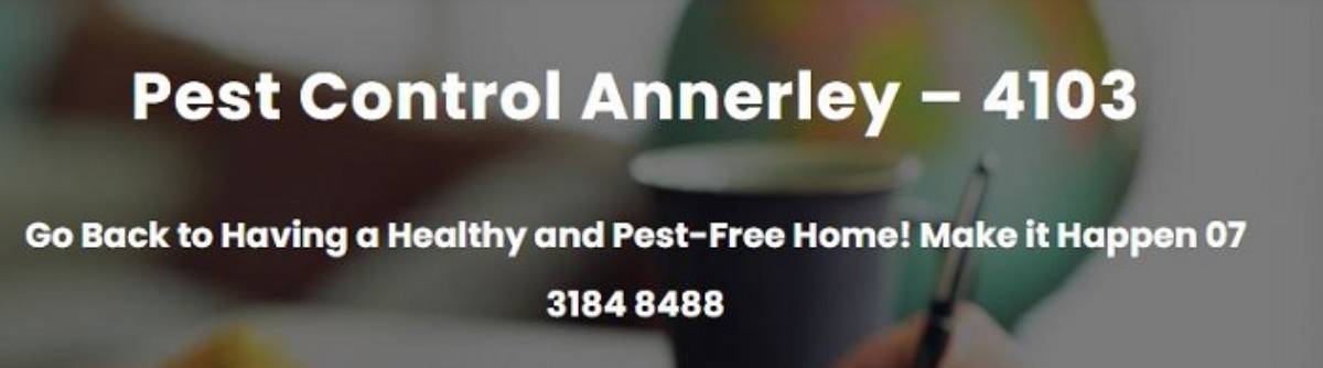 Pest Control - Annerley