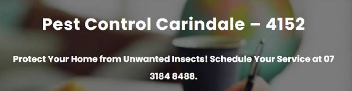 View Photo: Pest Control - Carindale