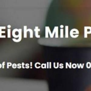 View Photo: Pest Control - Eight Mile Plains