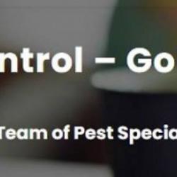 View Photo: Pest Control - Gold Coast