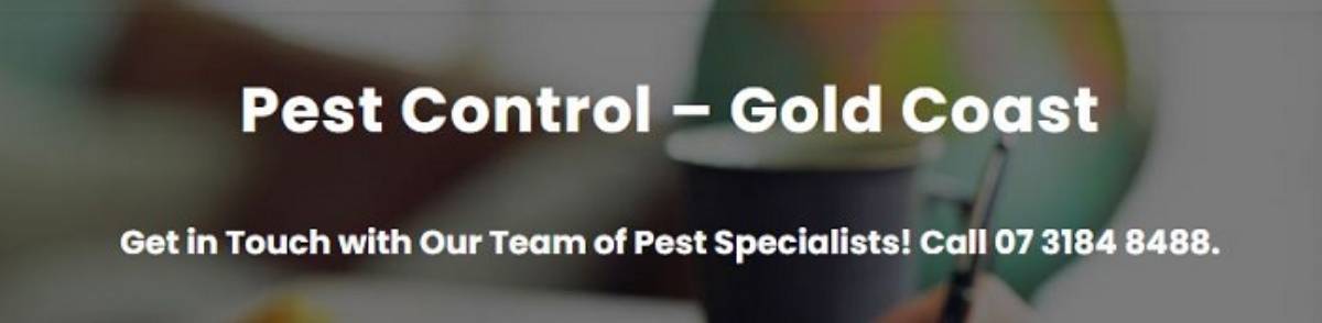 Pest Control - Gold Coast