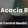 Pest Control-Acacia Ridge