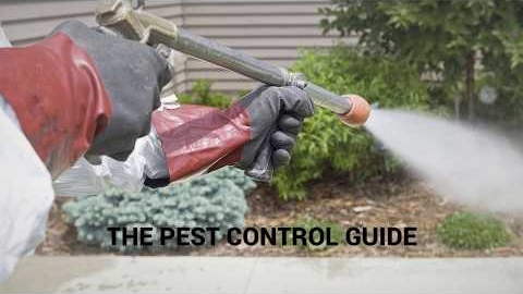 Watch Video: The Pest Control Guide