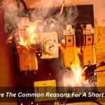 What Are The Common Reasons For A Short Circuit?