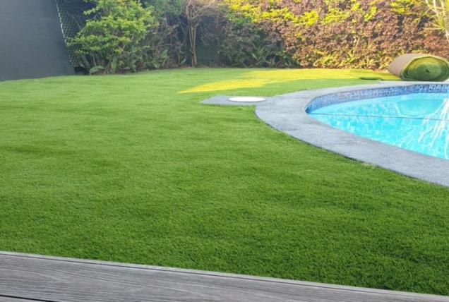 Read Article: How to Clean Artificial Grass the Easy Way