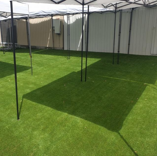 Read Article: Real Grass vs Artificial Turf: Pros & Cons
