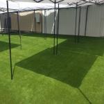 Real Grass vs Artificial Turf: Pros & Cons