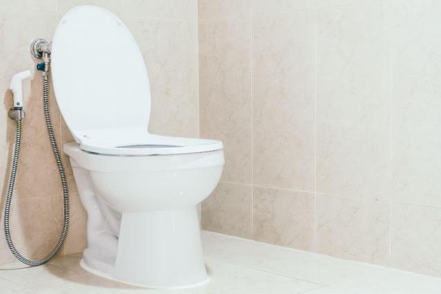 Read Article: Central Coast Plumber’s Buying Guide for Toilets