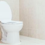 Central Coast Plumber’s Buying Guide for Toilets
