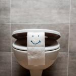 Embracing the Future of Water Conservation: Waterless and Ultra-Low Flush Toilets