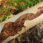 Read Article: Key Factors That Lead to Blocked Drains in Australian Homes