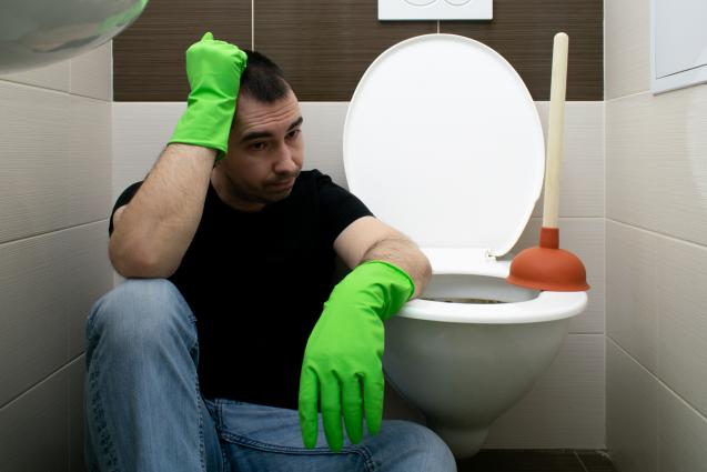 Read Article: Newcastle Plumber Reveals 7 Ways to Unblock a Toilet Drain