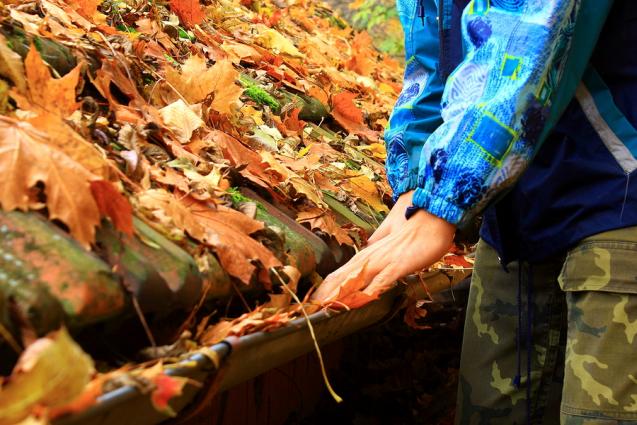 Tips for Cleaning Out Your Gutters