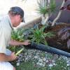 Formboss Metal Garden Edging Installation Tips