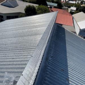 View Photo: Bird spikes on a roof ridge