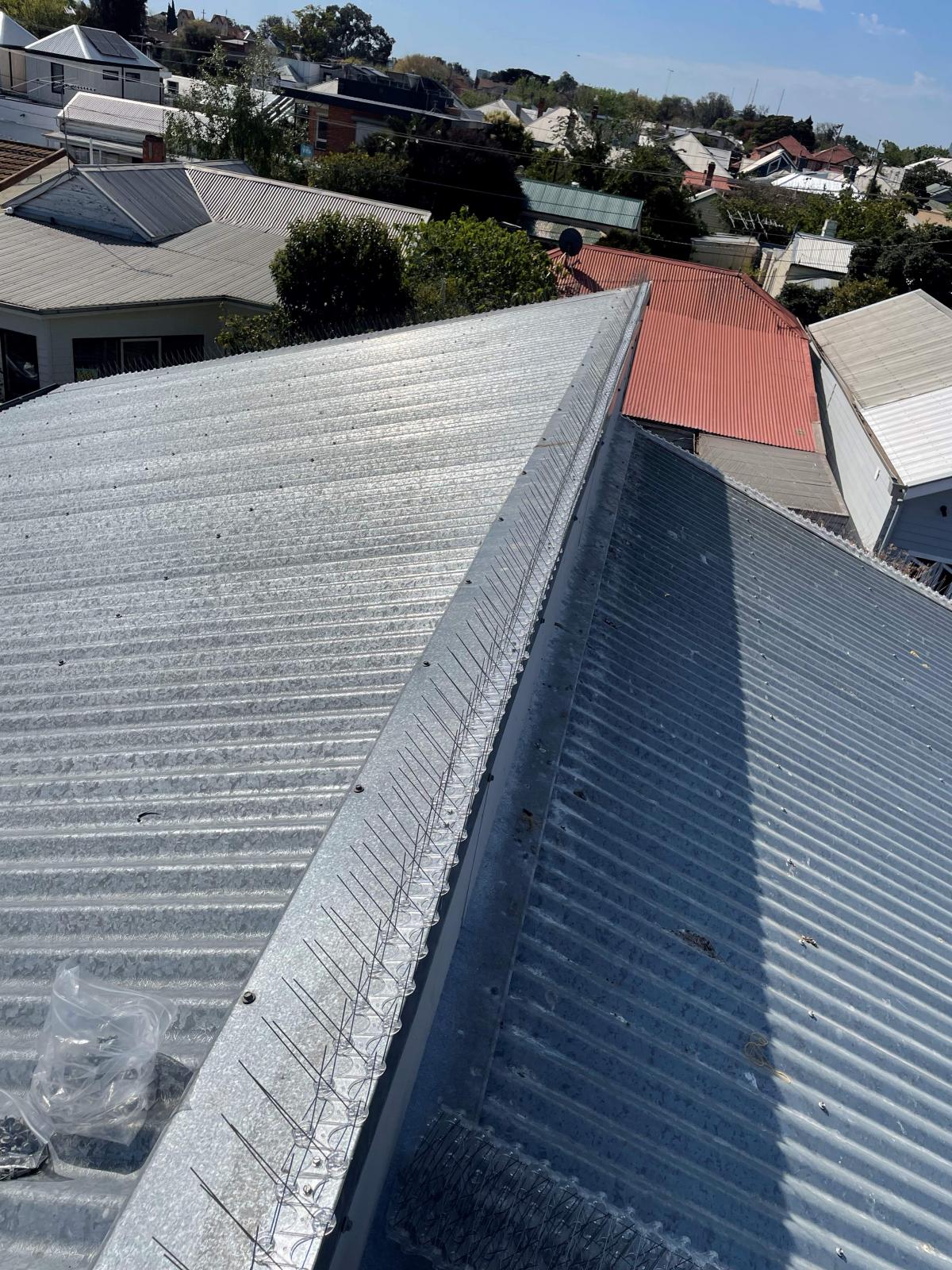 View Photo: Bird spikes on a roof ridge