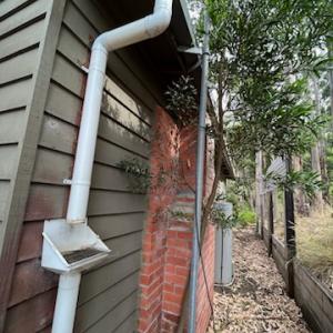 View Photo: Leaf Diverter on a Downpipe is part of Gutter Cleaning concerns