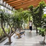 A Helpful Guide To Knowing All About Biophilic Design