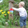 How To Get Your Kids Involved In The Garden
