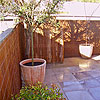 Outdoor Quality Paving