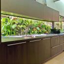 View Photo: Vertical Garden Kitchen