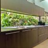 Vertical Garden Kitchen