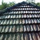 View Photo: Roof Cleaning
