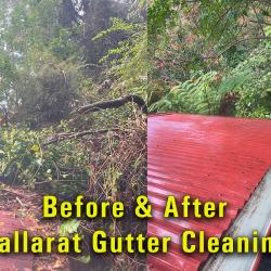 View Photo: Tragically blocked roof and gutters in Ballarat