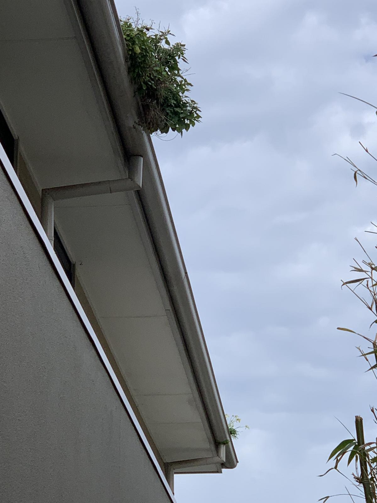 View Photo: Blocked Downpipe in Geelong