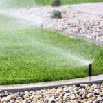 Outdoor Water Saving Tips 