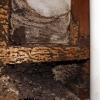 Hidden Source of Building Damage: Termites