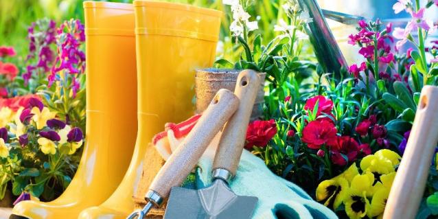 Read Article: Spring Gardening Tips 