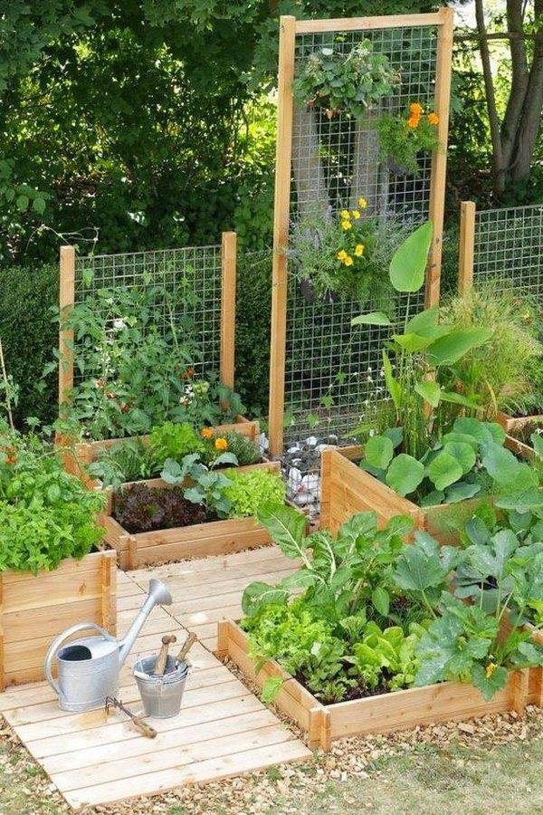 Read Article: Veggie Patches for Small Yards