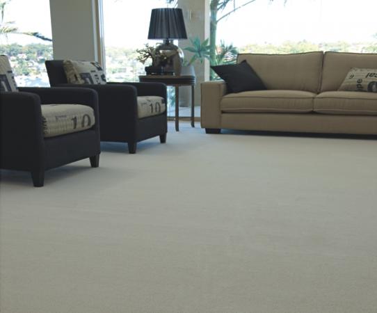 View Photo: Smartstrand IQ 150 Plush Carpet 