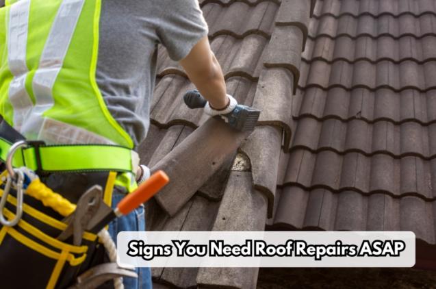 Signs You Need Roof Repairs ASAP