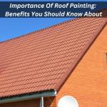 Importance Of Roof Painting: Benefits You Should Know About
