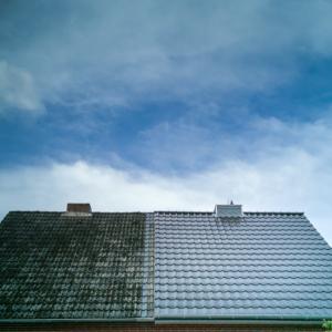 View Photo: Roof Cleaning 