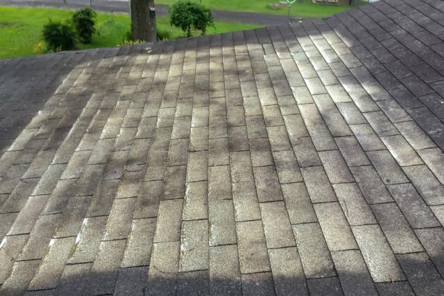 View Photo: Soft Wash Roof Cleaning