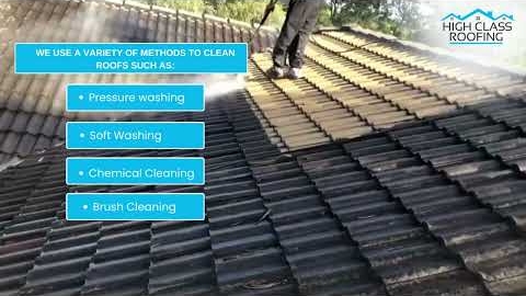 Watch Video: Professional Roof Cleaning Service