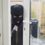 Do Fake Security Signs Prevent Break-Ins?