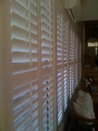 Up, Close & Personal Window Shutters