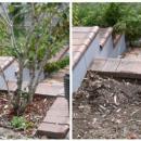 View Photo: Small Tree Removal from Garden Bed