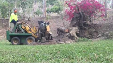 Watch Video: Stump Grinding a Tree Rootball