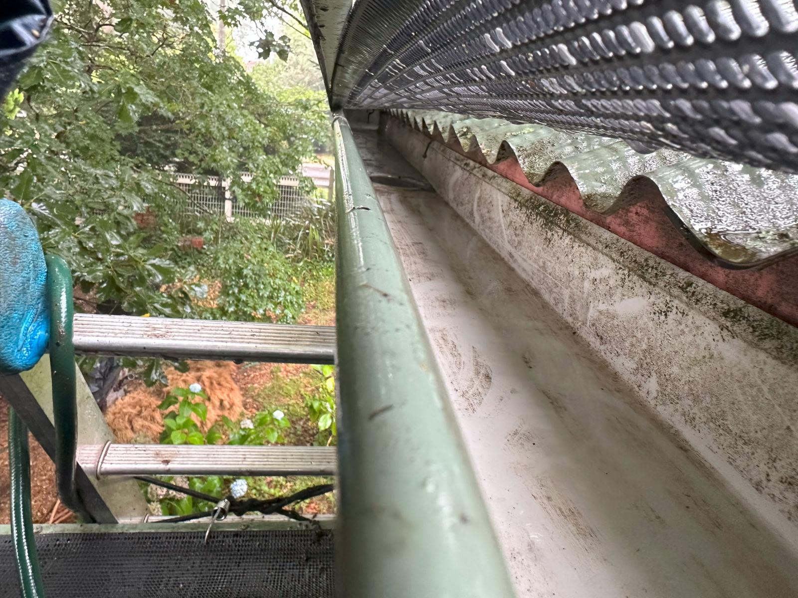 View Photo: Looking under Leafshield to see the condition of gutters