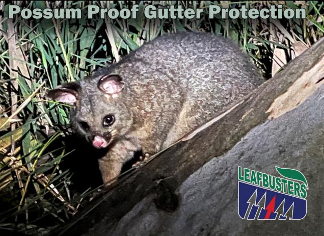Read Article: Leafbusters Possum Proof Gutter Protection