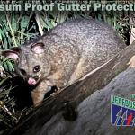 Leafbusters Possum Proof Gutter Protection