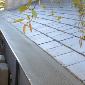 View Photo: Leafbusters on a slate roof
