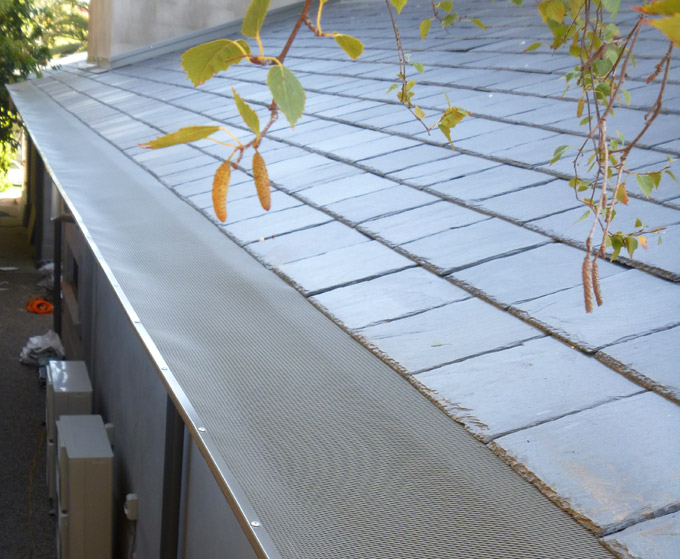 Leafbusters on a slate roof