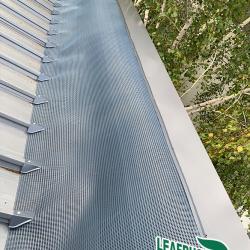 View Photo: Leafbusters on box gutters